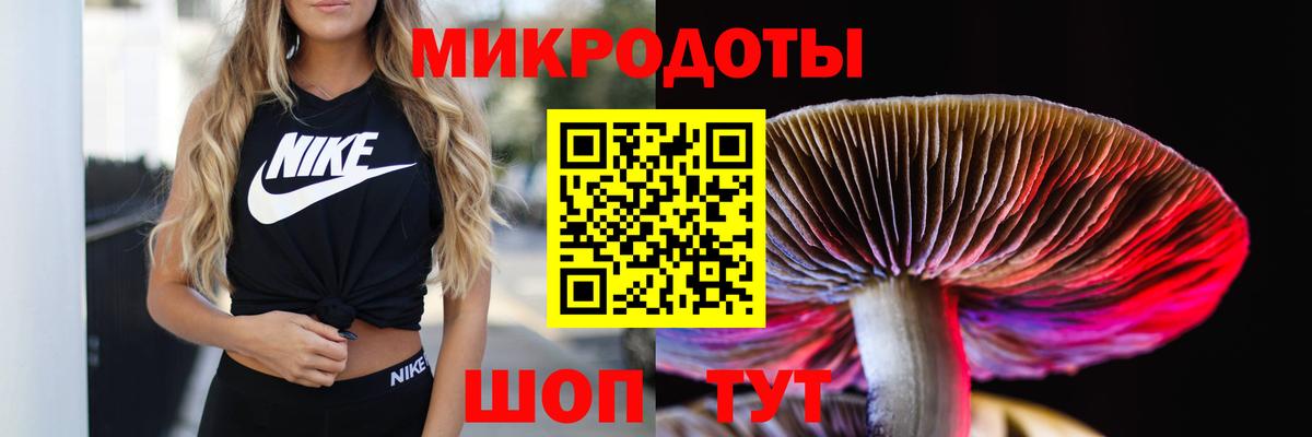 Реутов  Псилоцибиновые грибы ЛСД  Вход с VPN 